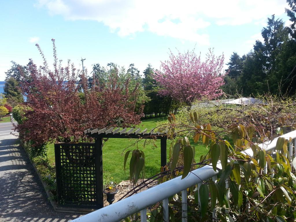 By The Sea Bnb, Sidney Victoria Bc Ngoại thất bức ảnh