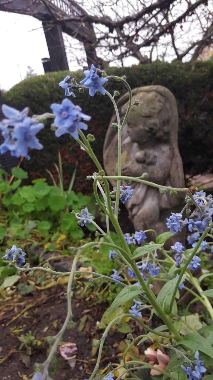 By The Sea Bnb, Sidney Victoria Bc Ngoại thất bức ảnh